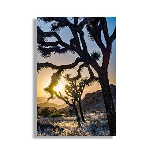 Joshua Tree National Park Desert Desert Sunset Photo Print